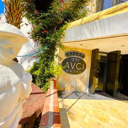 酒店 Grand Avci 4*
